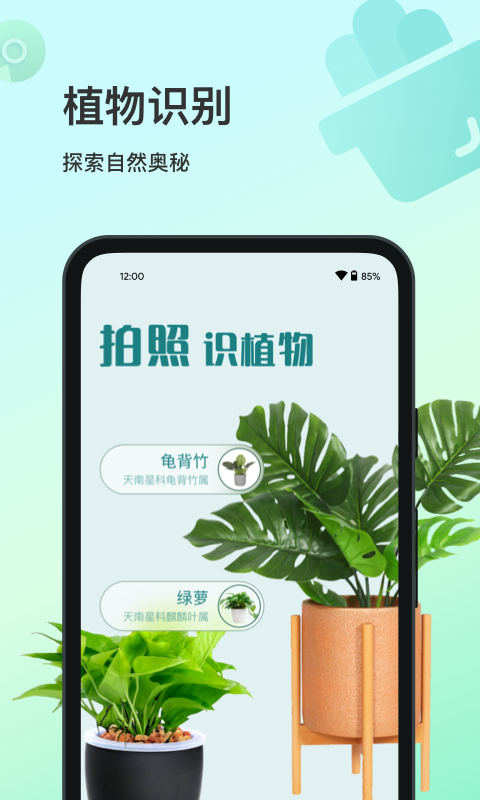 花卉识别app