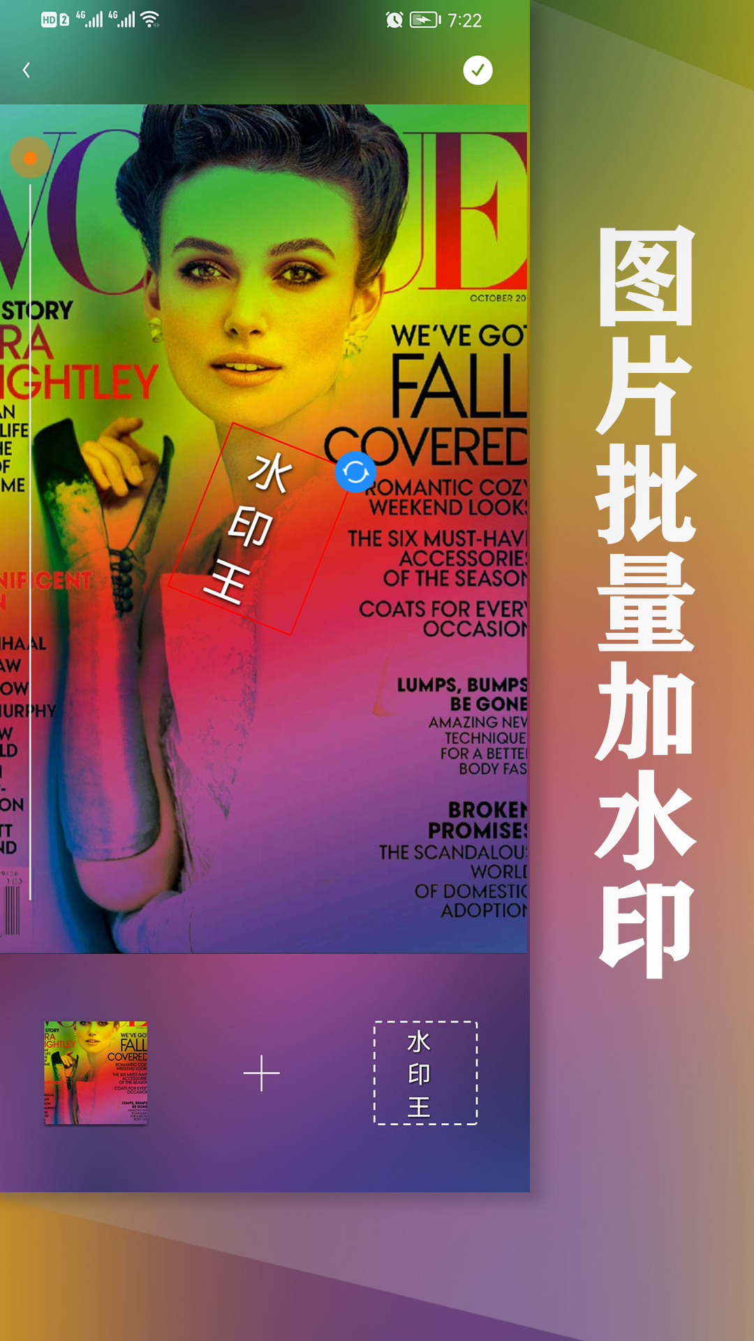 水印王app