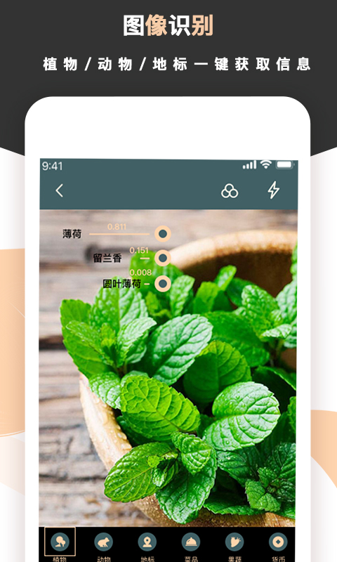 标准扫描王app