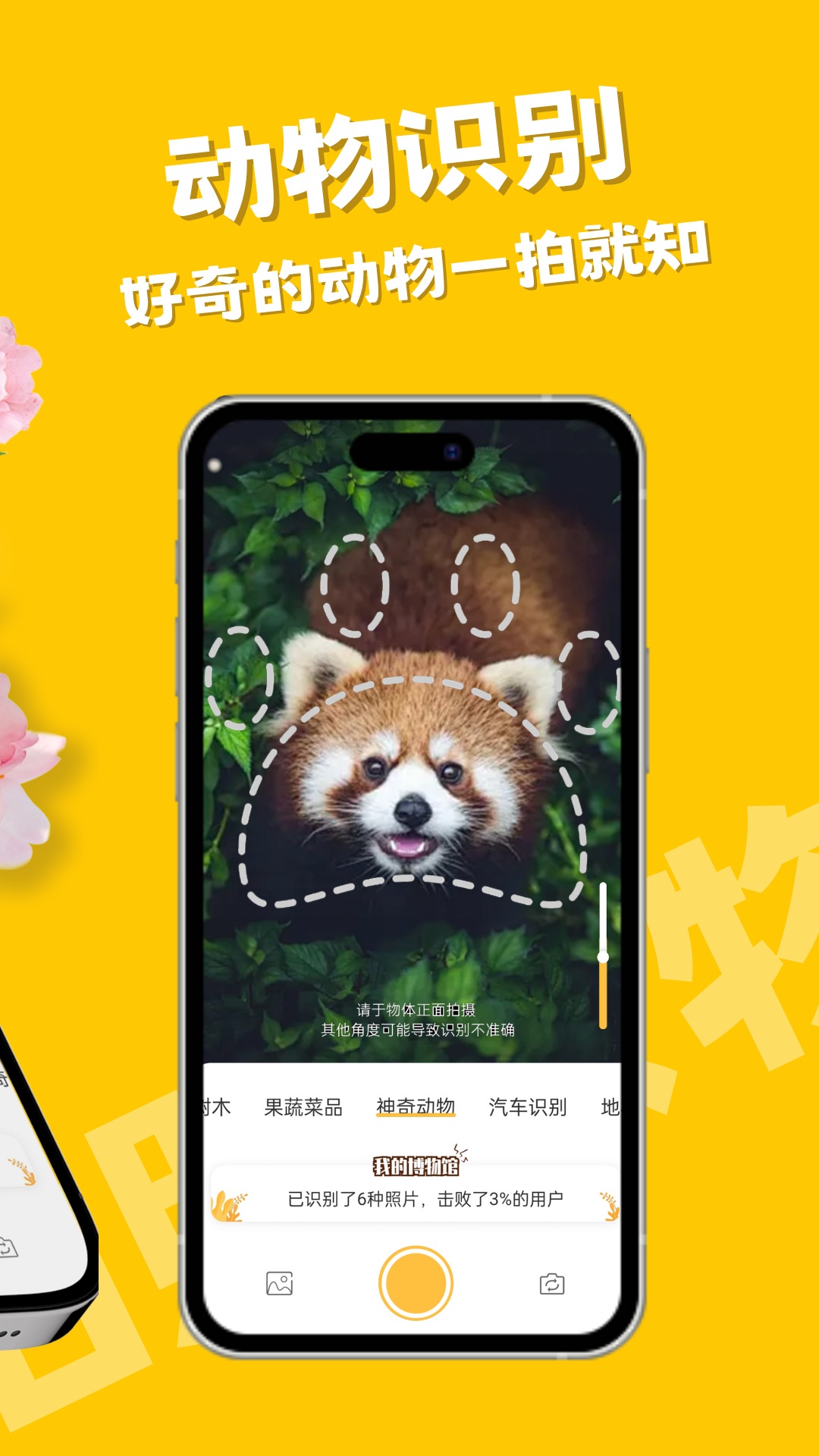 拍照识物app
