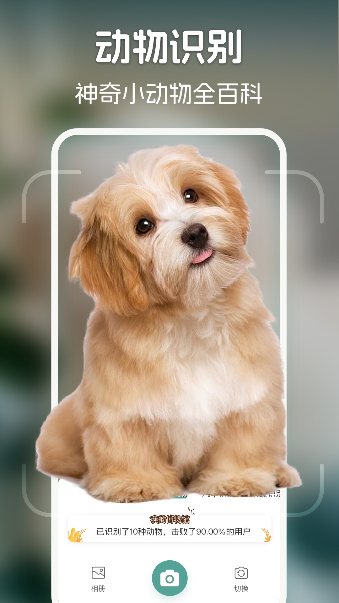 识花君app