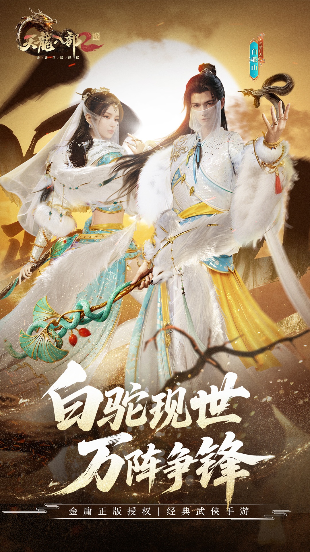 天龙八部2：飞龙战天